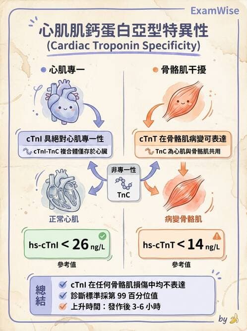 醫檢師 - 心肌標誌與心臟診斷 - AI 圖文解析預覽