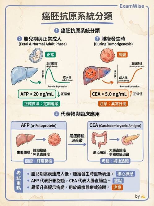 醫檢師 - 腫瘤標誌 - AI 圖文解析預覽