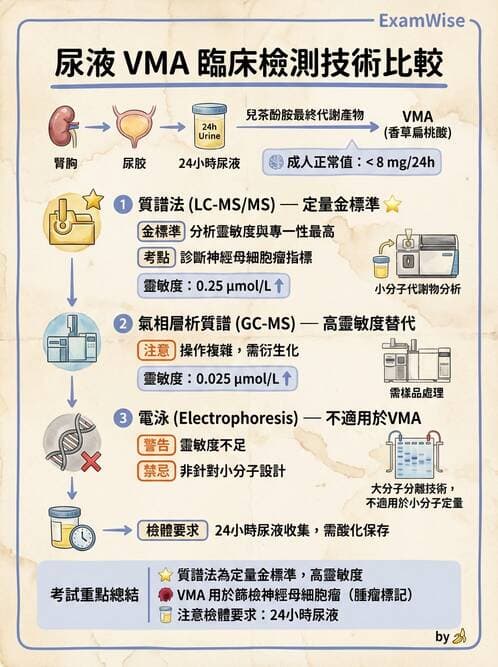 醫檢師 - 腎上腺與生殖內分泌 - AI 圖文解析預覽
