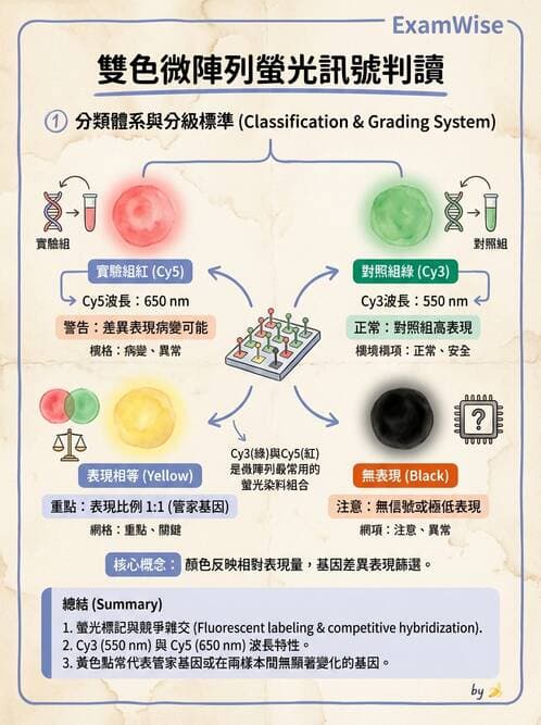醫檢師 - 基本概念與儀器分析 - AI 圖文解析預覽
