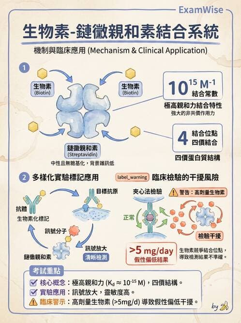 醫檢師 - 實驗室測試免疫法 - AI 圖文解析預覽
