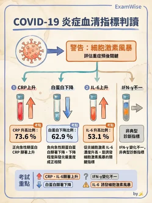 醫檢師 - 急性發炎蛋白與微生物感染血清學 - AI 圖文解析預覽