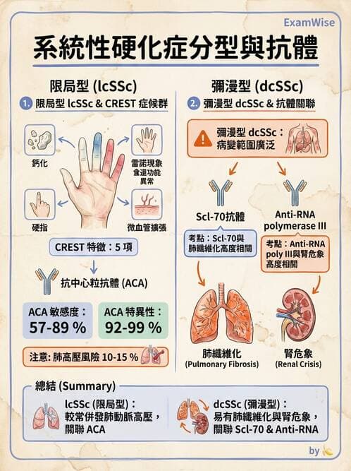 醫檢師 - 其他自體免疫疾病與自體抗體檢驗 - AI 圖文解析預覽