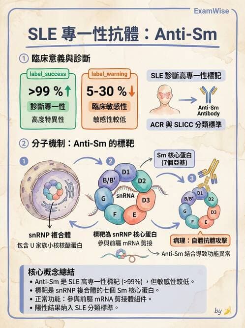 醫檢師 - 全身性紅斑性狼瘡與抗磷脂質症候群 - AI 圖文解析預覽