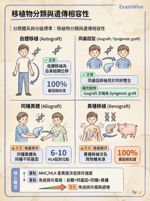 醫檢師 - 組織型與移植免疫學 - AI 圖文解析預覽