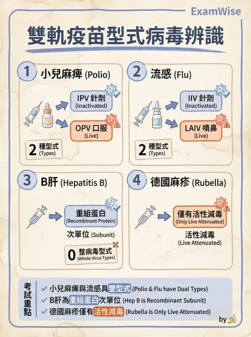 醫檢師 - 抗病毒藥物與疫苗通論 - AI 圖文解析預覽