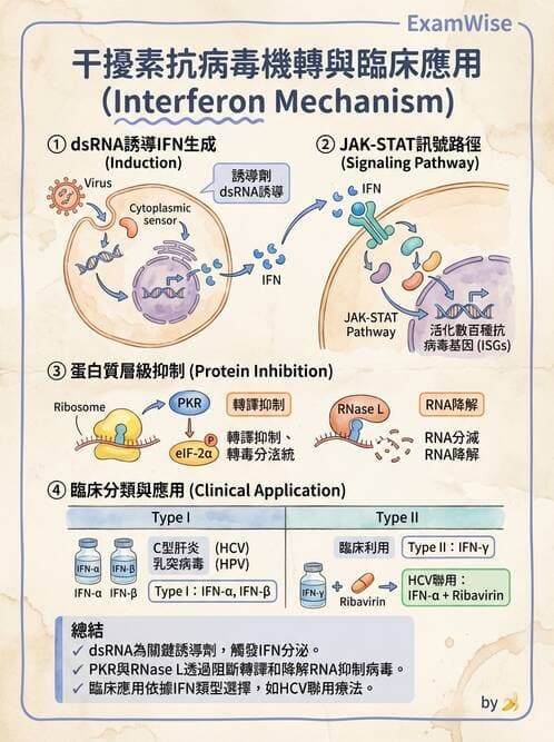 醫檢師 - 抗病毒藥物與疫苗通論 - AI 圖文解析預覽