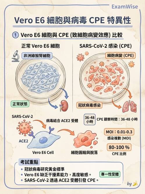 醫檢師 - 冠狀病毒科 - AI 圖文解析預覽