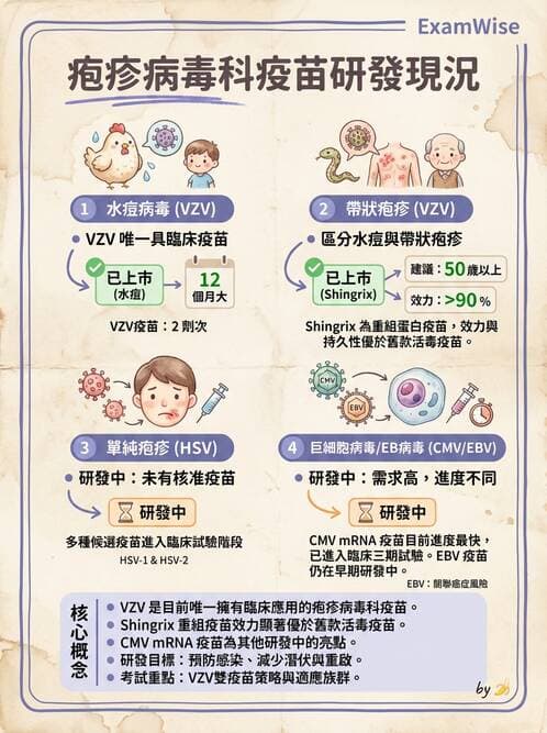 醫檢師 - 疱疹病毒科 - AI 圖文解析預覽