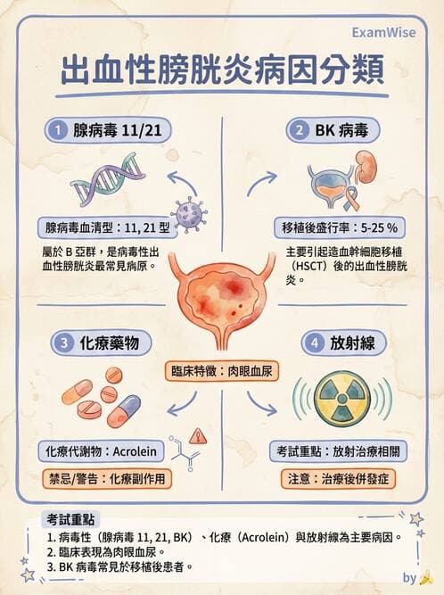 醫檢師 - 腺病毒與痘病毒 - AI 圖文解析預覽