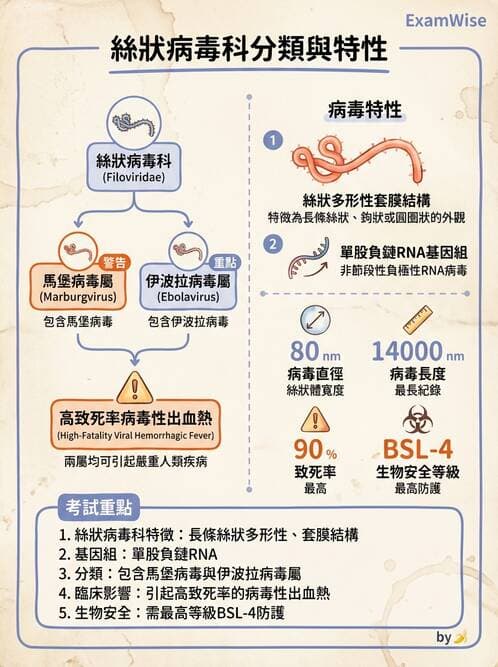 醫檢師 - 其他RNA病毒 - AI 圖文解析預覽