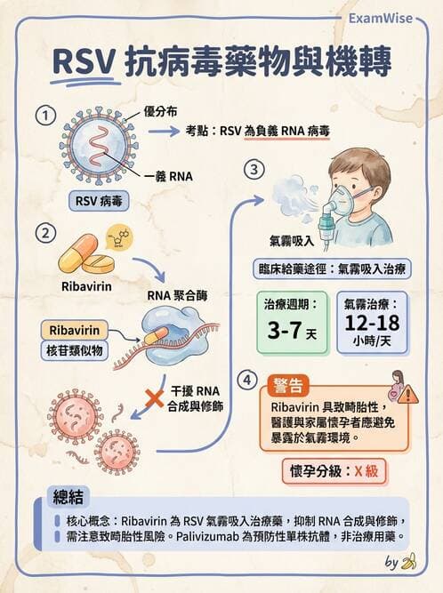 醫檢師 - 副黏液病毒科 - AI 圖文解析預覽