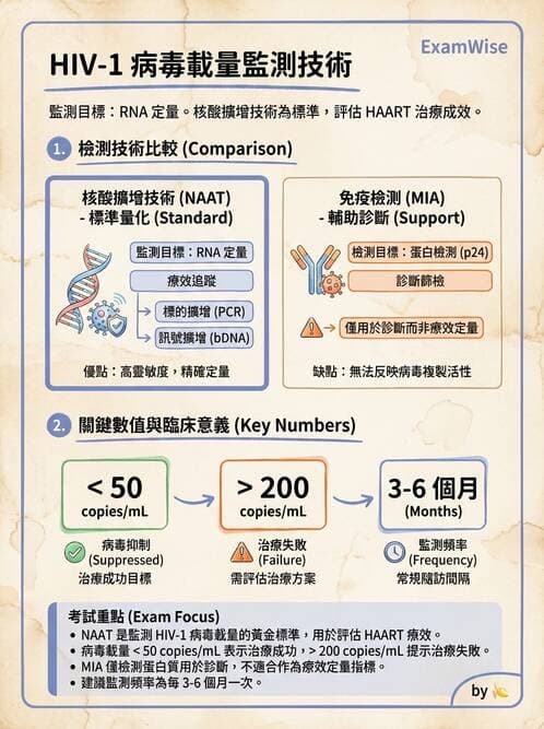 醫檢師 - 反轉錄病毒(HIV/HTLV) - AI 圖文解析預覽