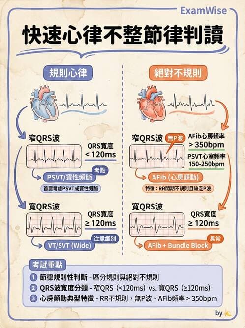 醫檢師 - 心律不整判讀 - AI 圖文解析預覽