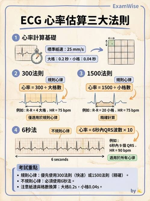醫檢師 - 心電圖基礎與判讀 - AI 圖文解析預覽