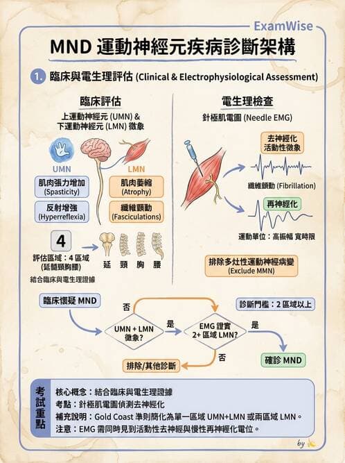 醫檢師 - 神經肌肉與睡眠檢查 - AI 圖文解析預覽