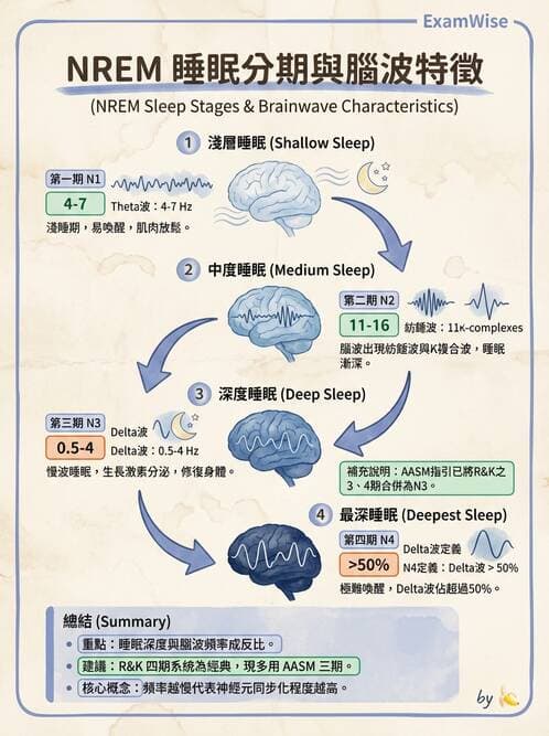 醫檢師 - 腦電圖檢查 - AI 圖文解析預覽