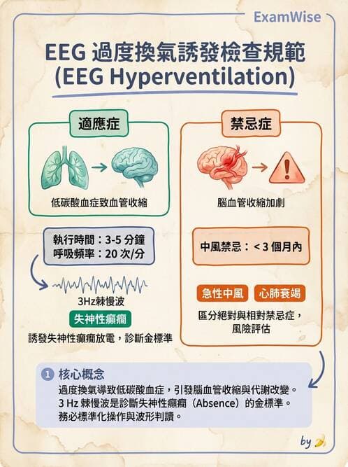 醫檢師 - 腦電圖檢查 - AI 圖文解析預覽