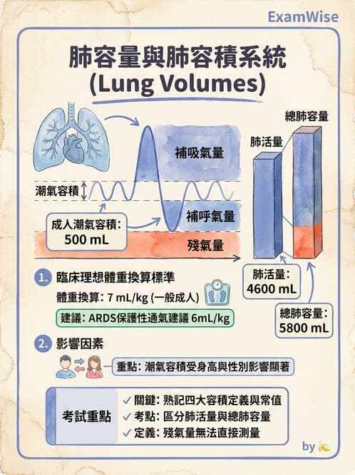 醫檢師 - 肺功能基礎與指標 - AI 圖文解析預覽