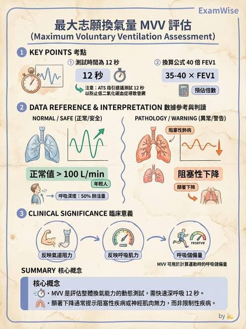 醫檢師 - 肺功能基礎與指標 - AI 圖文解析預覽