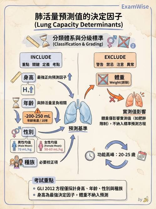醫檢師 - 肺功能基礎與指標 - AI 圖文解析預覽