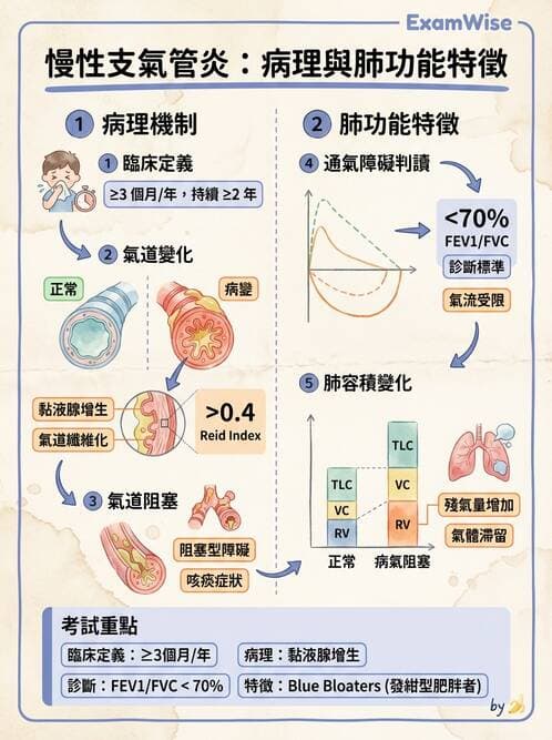 醫檢師 - 肺功能判讀與氣體交換 - AI 圖文解析預覽