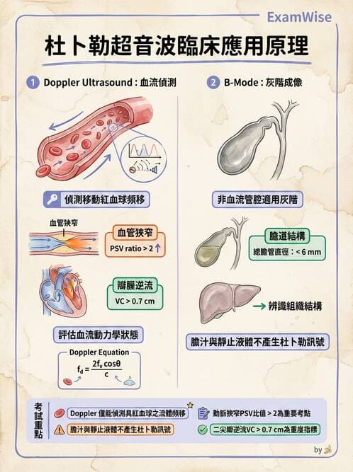 醫檢師 - 超音波檢查 - AI 圖文解析預覽