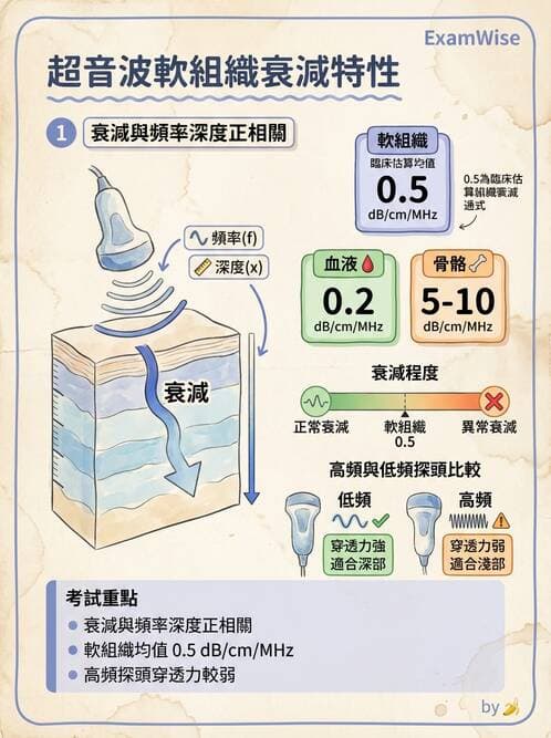 醫檢師 - 超音波檢查 - AI 圖文解析預覽