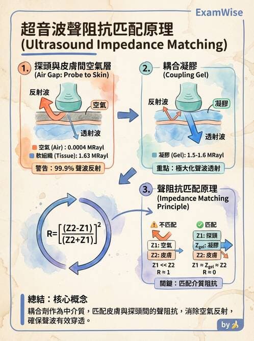 醫檢師 - 超音波檢查 - AI 圖文解析預覽