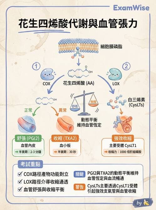 醫檢師 - 細胞傷害、發炎與修復 - AI 圖文解析預覽