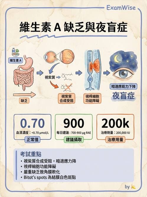醫檢師 - 物理和化學傷害及營養疾病 - AI 圖文解析預覽