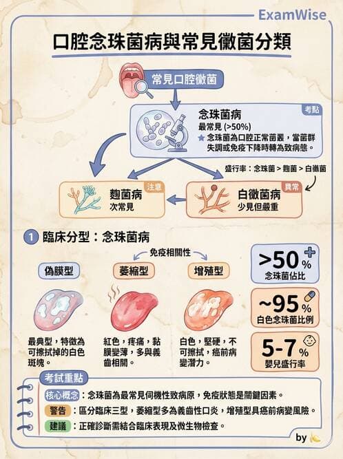 醫檢師 - 消化肝膽疾病 - AI 圖文解析預覽