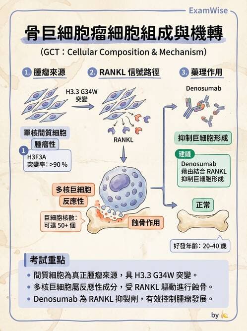 醫檢師 - 骨骼及軟組織疾病 - AI 圖文解析預覽