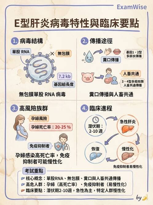 醫檢師 - 消化肝膽疾病 - AI 圖文解析預覽