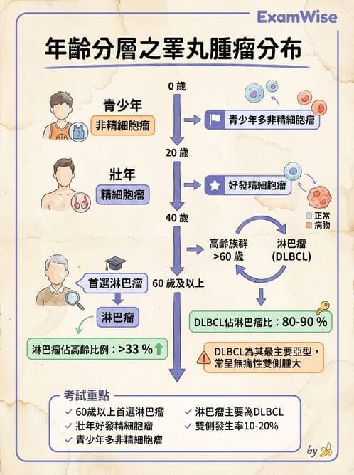 醫檢師 - 腎臟泌尿及男性生殖疾病 - AI 圖文解析預覽