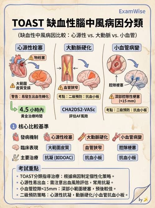 醫檢師 - 神經系統疾病 - AI 圖文解析預覽