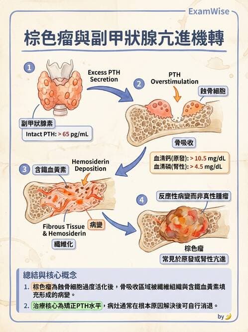 醫檢師 - 骨骼及軟組織疾病 - AI 圖文解析預覽