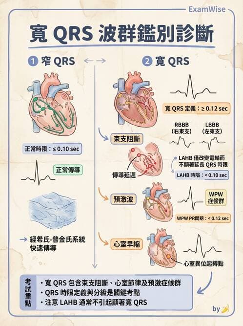 醫檢師 - 心肌病變與特殊心電圖 - AI 圖文解析預覽