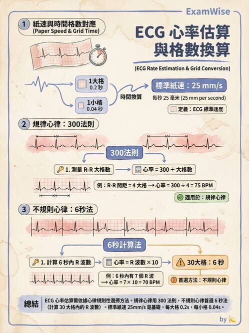 醫檢師 - 心電圖基礎與判讀 - AI 圖文解析預覽