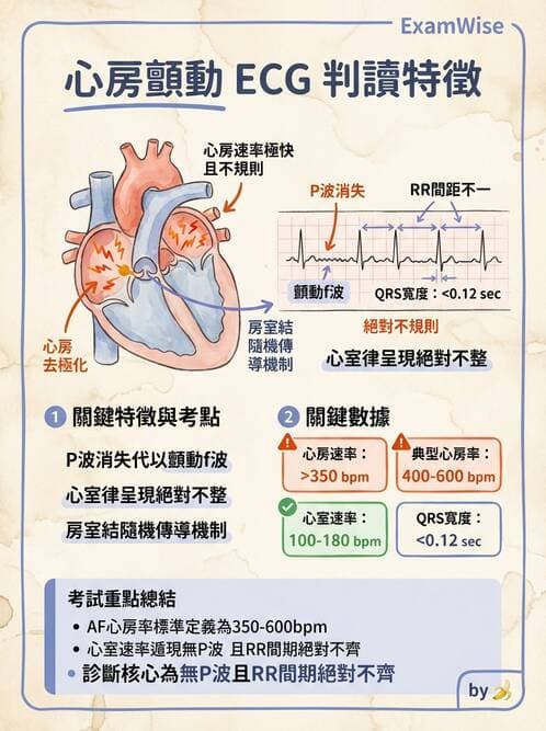 醫檢師 - 心律不整判讀 - AI 圖文解析預覽
