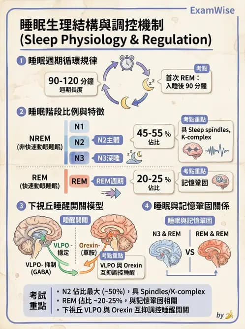 醫檢師 - 神經肌肉與睡眠檢查 - AI 圖文解析預覽