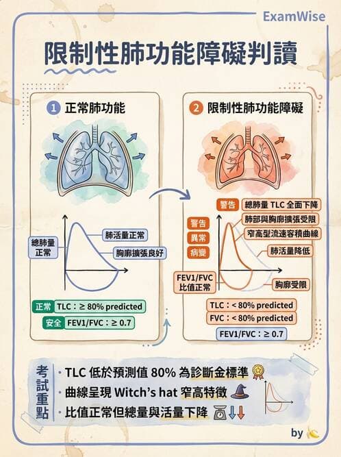 醫檢師 - 肺功能判讀與氣體交換 - AI 圖文解析預覽