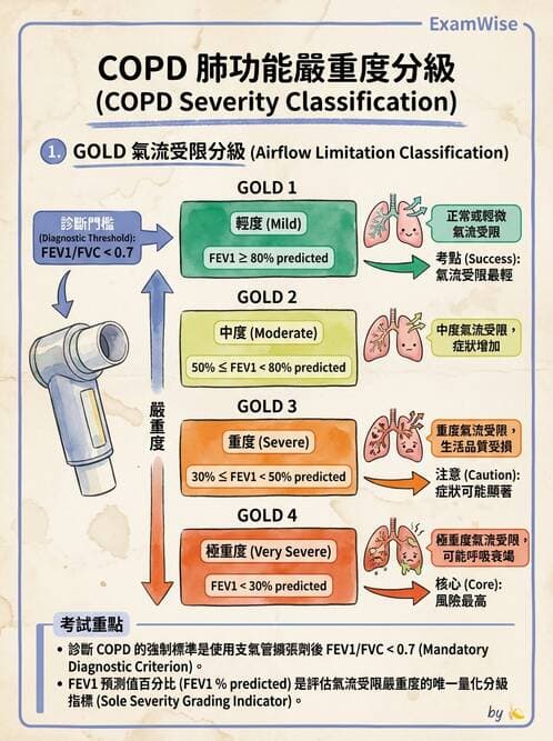 醫檢師 - 肺功能判讀與氣體交換 - AI 圖文解析預覽