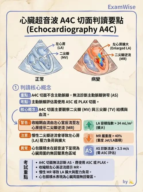 醫檢師 - 超音波檢查 - AI 圖文解析預覽