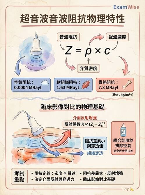 醫檢師 - 超音波檢查 - AI 圖文解析預覽