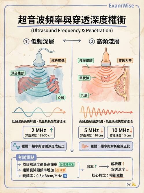 醫檢師 - 超音波檢查 - AI 圖文解析預覽