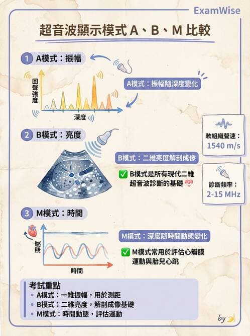 醫檢師 - 超音波檢查 - AI 圖文解析預覽
