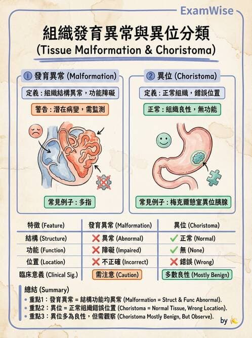 醫檢師 - 腫瘤概論 - AI 圖文解析預覽