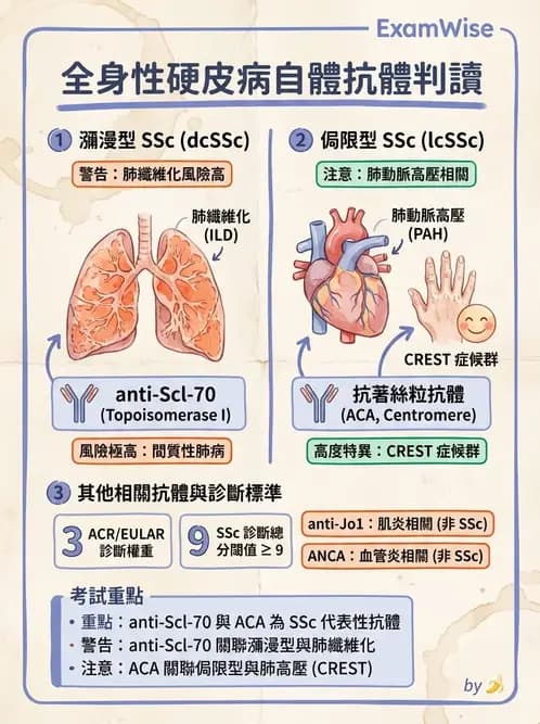醫檢師 - 免疫疾病 - AI 圖文解析預覽