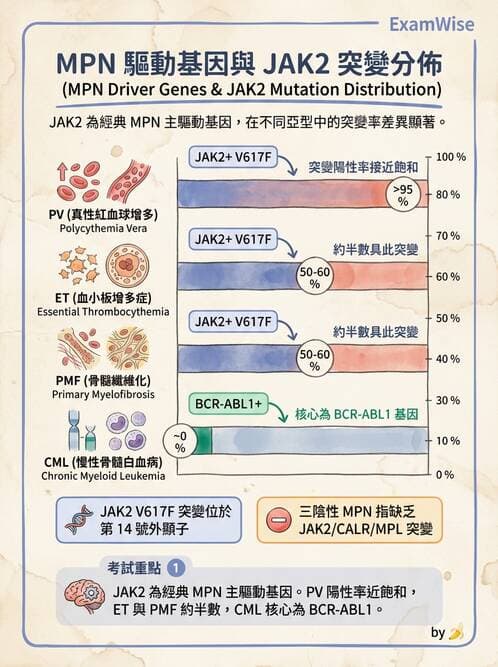醫檢師 - 造血系統疾病 - AI 圖文解析預覽